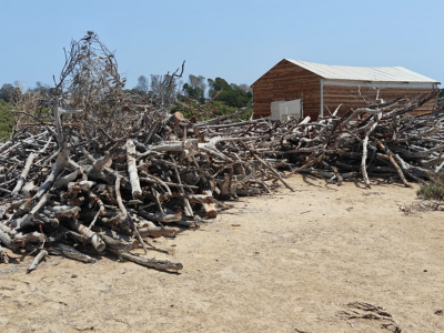 Projet Biochar national – Filière de valorisation du bois mort