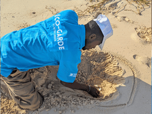 Protection des tortues marines – Conservation des sites de reproduction