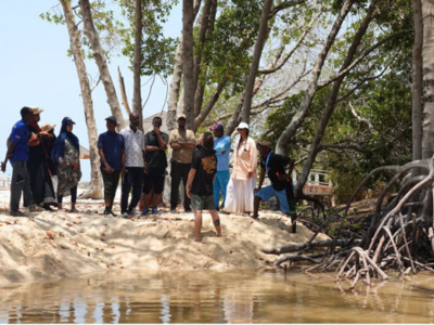 Sortie pédagogique – Formation des enseignants aux mangroves